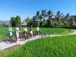 Munduk Cycling